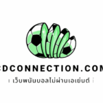 CDconnection logo